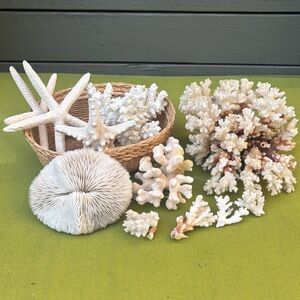 BASKET OF CORAL & STARFISH